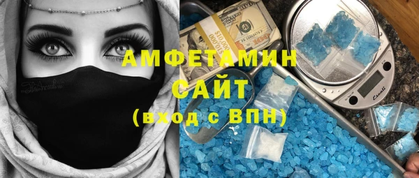 сатива Балахна
