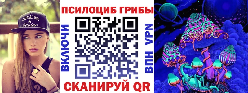 цена Камызяк Псилоцибиновые грибы прущие грибы